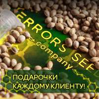 img-blog1