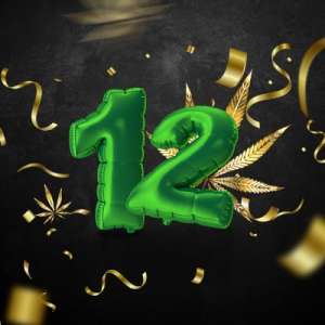 img-blog1